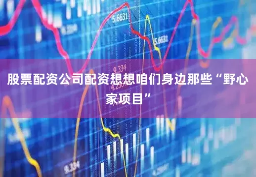 股票配资公司配资想想咱们身边那些“野心家项目”