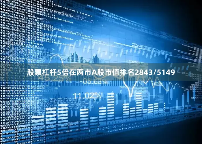 股票杠杆5倍在两市A股市值排名2843/5149