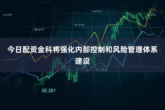 今日配资金科将强化内部控制和风险管理体系建设