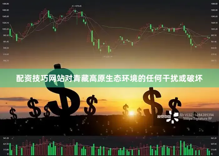配资技巧网站对青藏高原生态环境的任何干扰或破坏