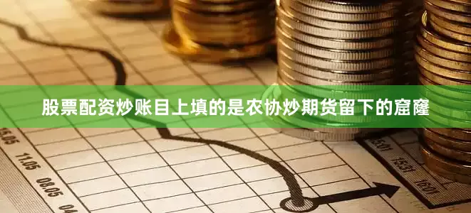 股票配资炒账目上填的是农协炒期货留下的窟窿